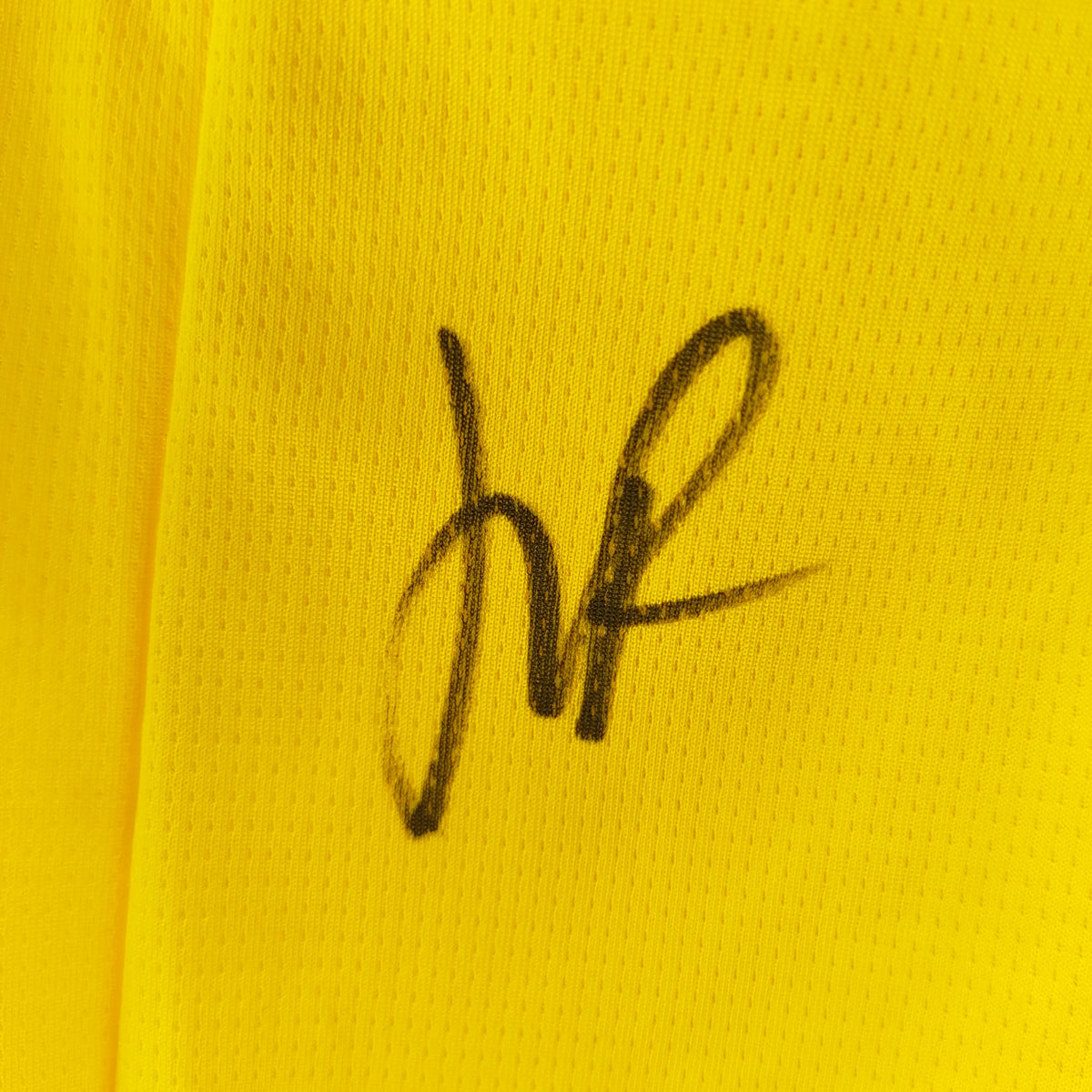 Borussia Dortmund Trikot Luca Reggiani signiert BVB Puma M 25/26