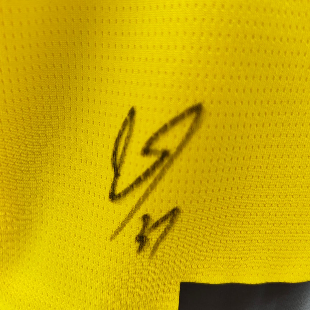 Borussia Dortmund Trikot 25/26 Cole Campbell signiert BVB Puma M