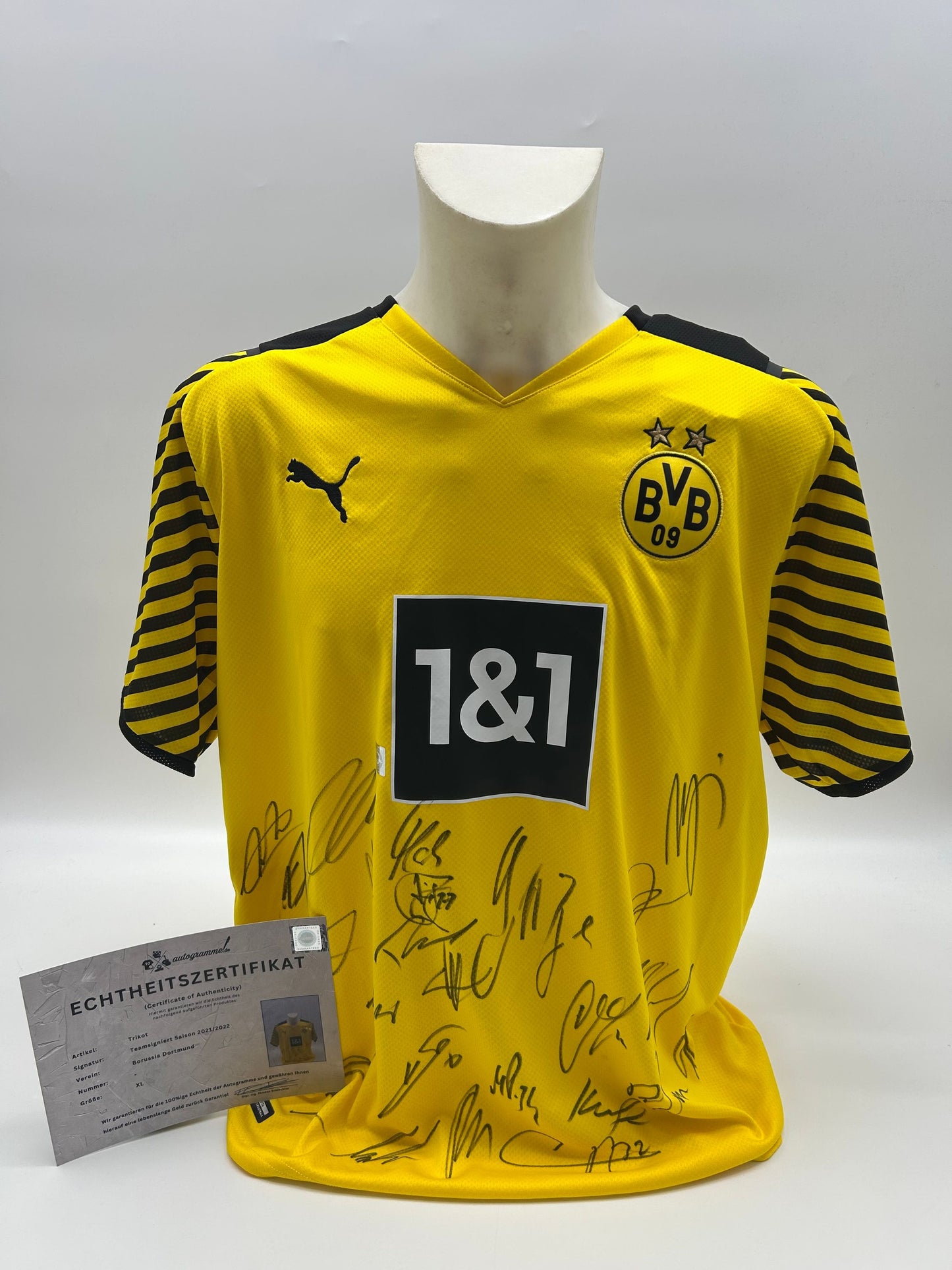 BVB Trikot 2021/2022 Teamsigniert Borussia Dortmund COA Neu Puma XL