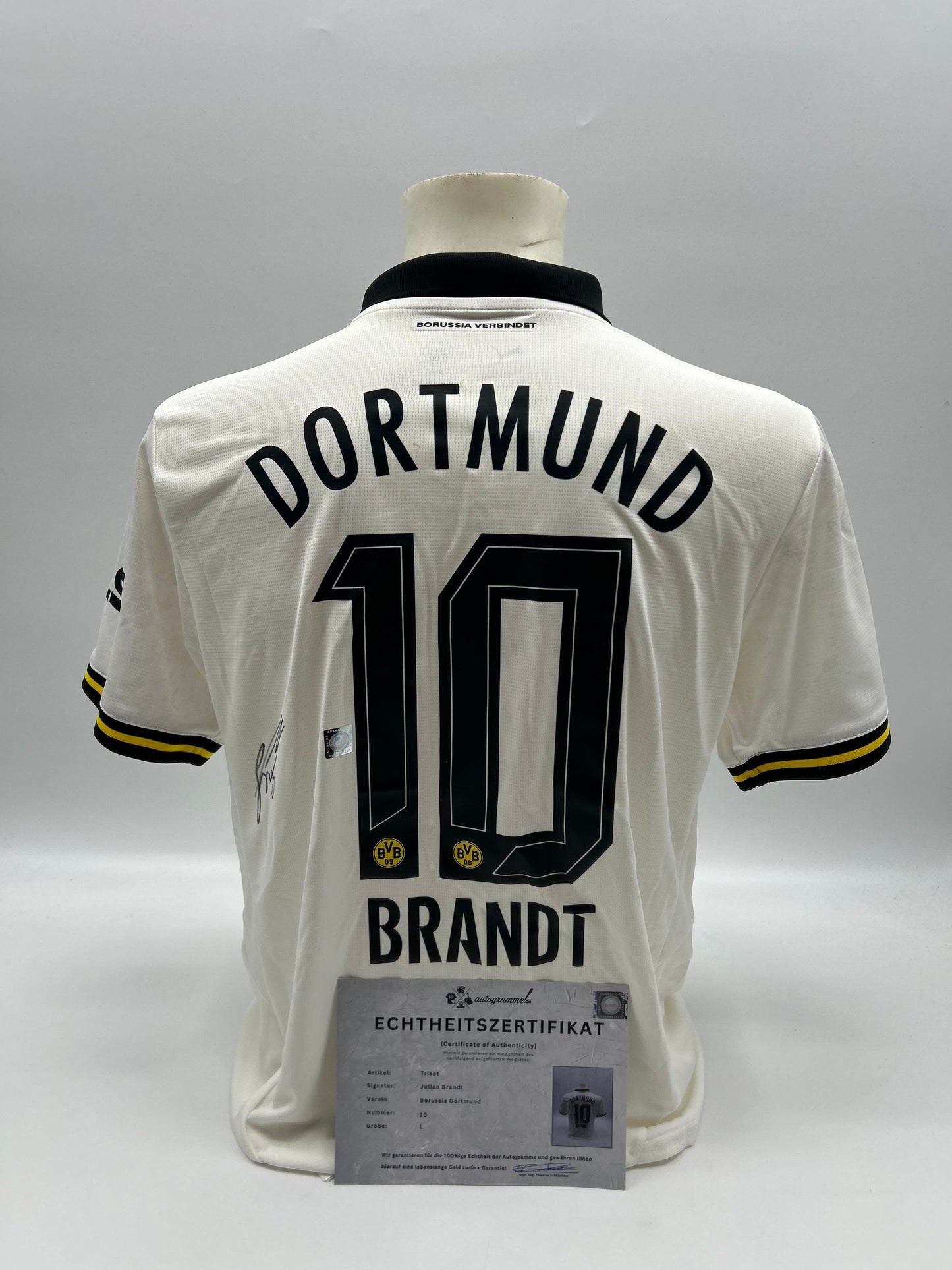 Borussia Dortmund Trikot signiert Julian Brandt  Autogramm BVB Puma L