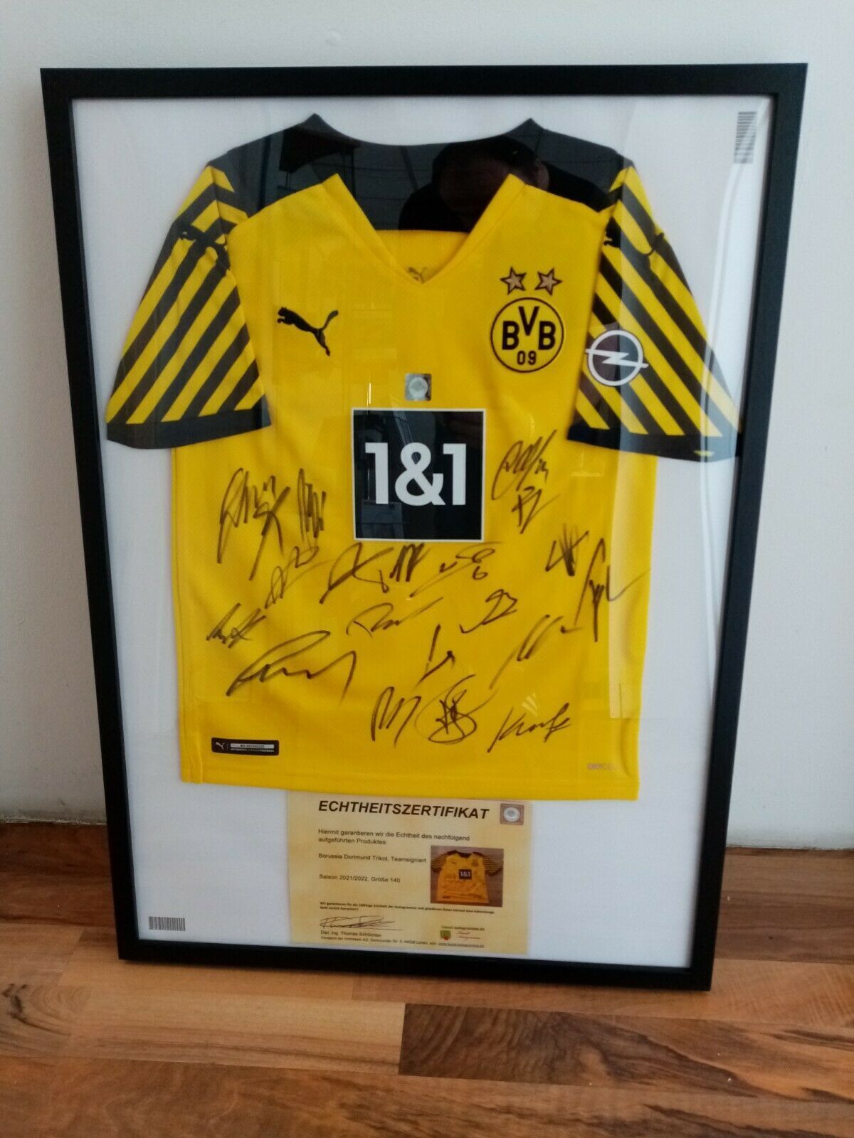 BVB Trikot 2017/2018 Teamsigniert Borussia Dortmund COA Puma 176