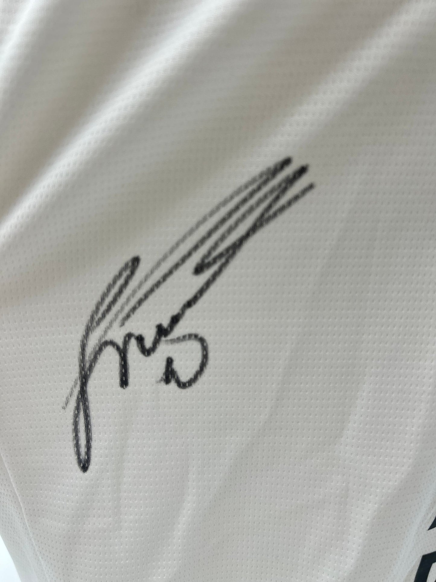 Borussia Dortmund Trikot signiert Julian Brandt  Autogramm BVB Puma L