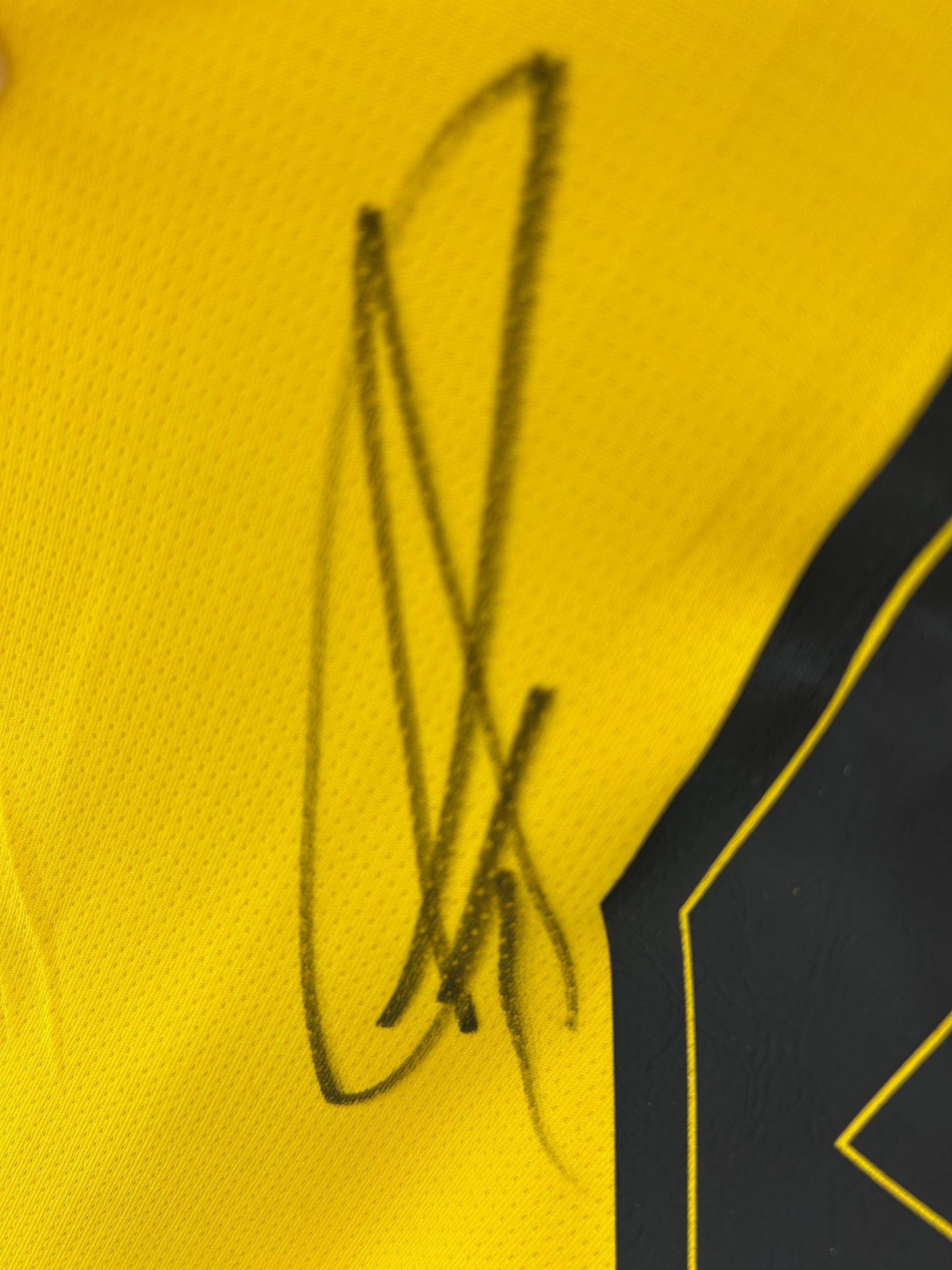 Borussia Dortmund Trikot Karim Adeyemi signiert  BVB  Autogramm Puma M