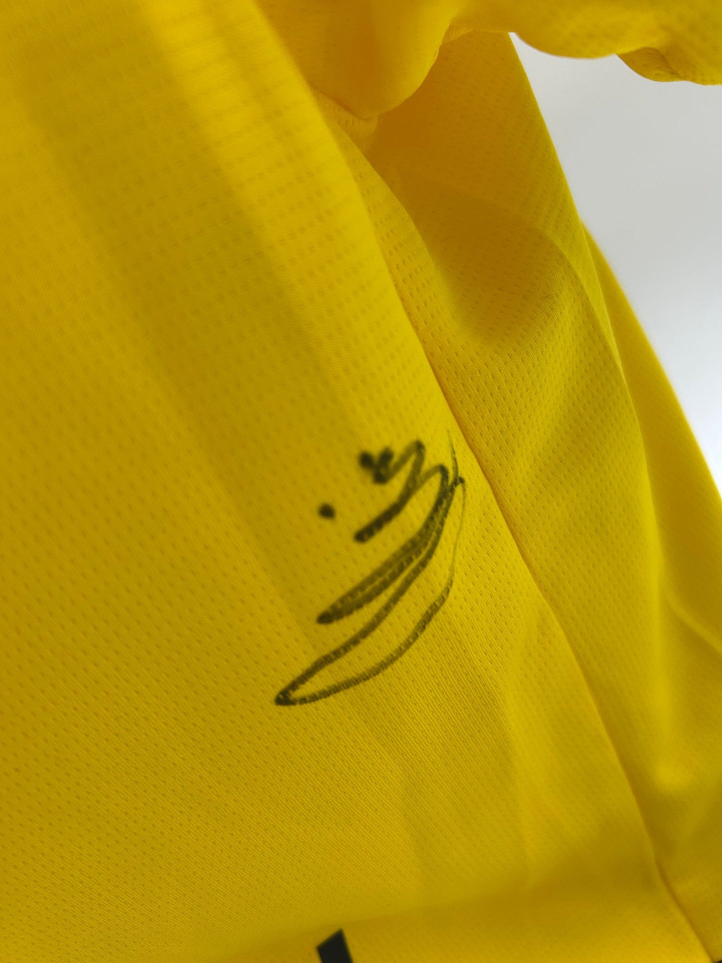 Borussia Dortmund Trikot signiert Nico Schlotterbeck BVB Autogramm Puma L