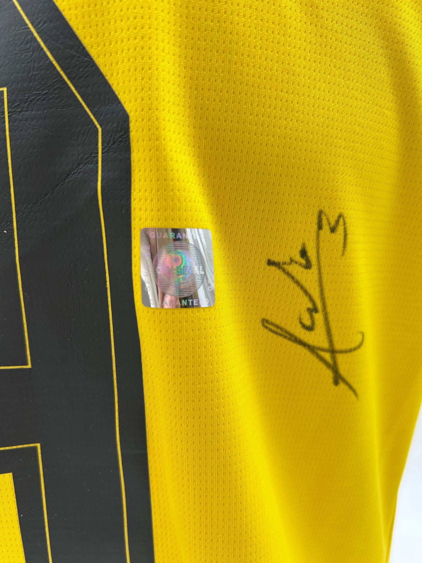 Borussia Dortmund Trikot Waldemar Anton signiert  BVB  Autogramm Puma M