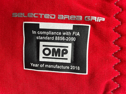 Giancarlo Fisichella Formula 1 original worn driver gloves signed