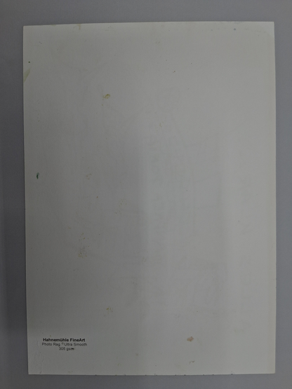 Udo Lindenberg picture "Andrea Doria" in a unique framed painting, liqueur 