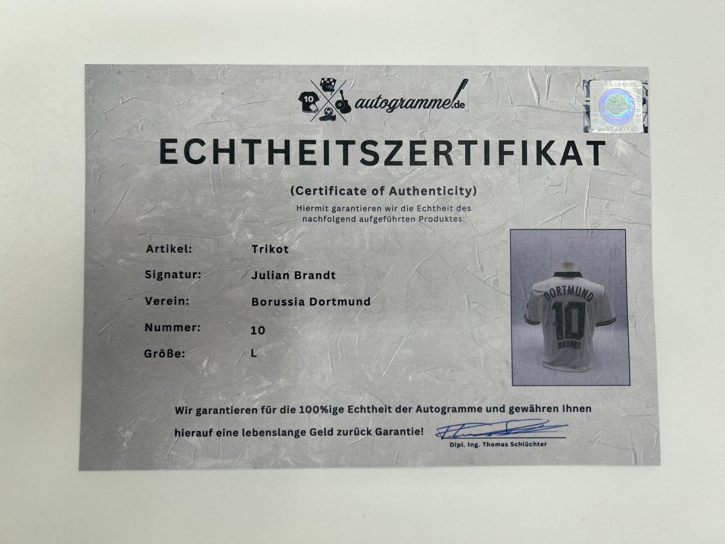 Borussia Dortmund Trikot signiert Julian Brandt  Autogramm BVB Puma L