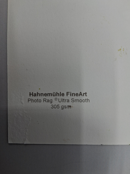 Udo Lindenberg picture "Andrea Doria" in a unique framed painting, liqueur 