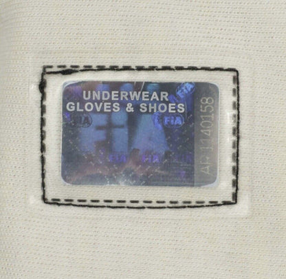 Giancarlo Fisichella Formula 1 original worn driver gloves signed