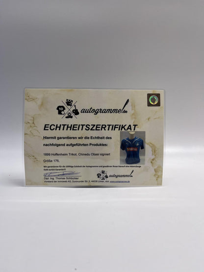 TSG 1899 Hoffenheim jersey chinedu obasi signed autographs bundesliga football puma 176