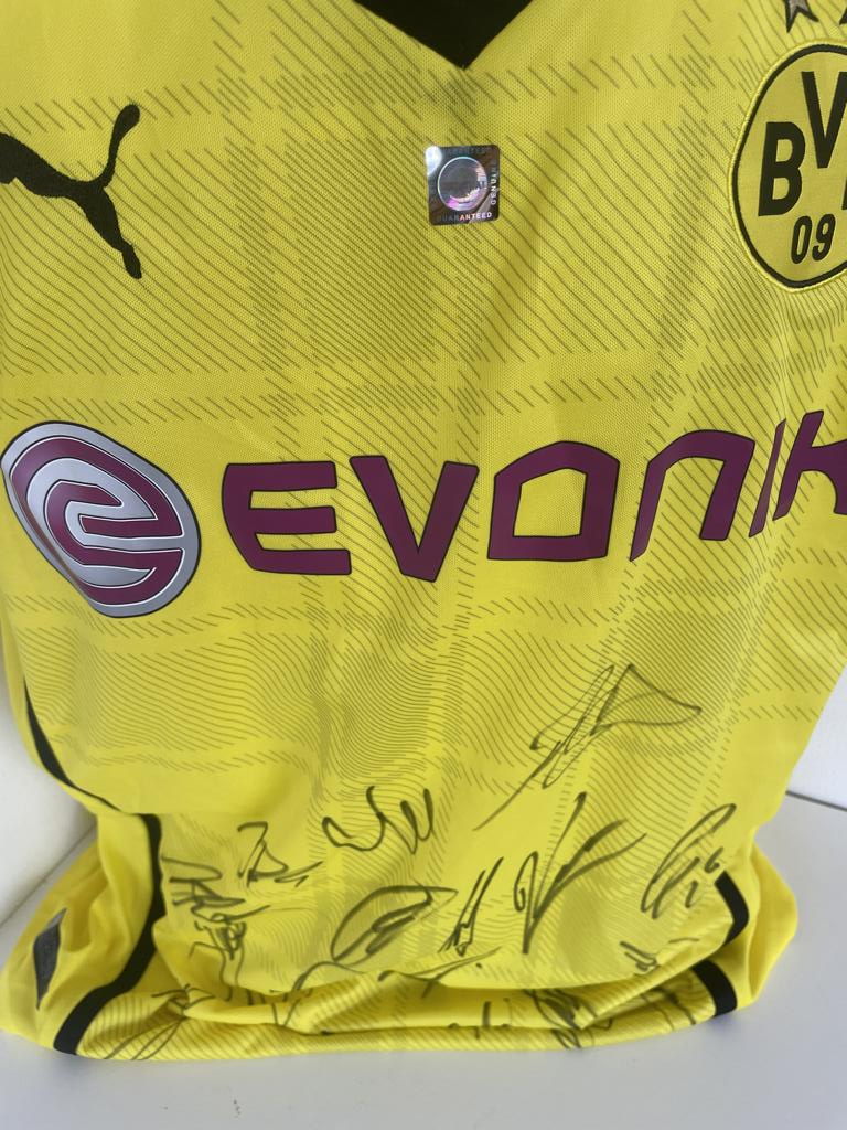 BVB Trikot 2013/2014 Teamsigniert Borussia Dortmund Autogramm Unterschrift Puma XL