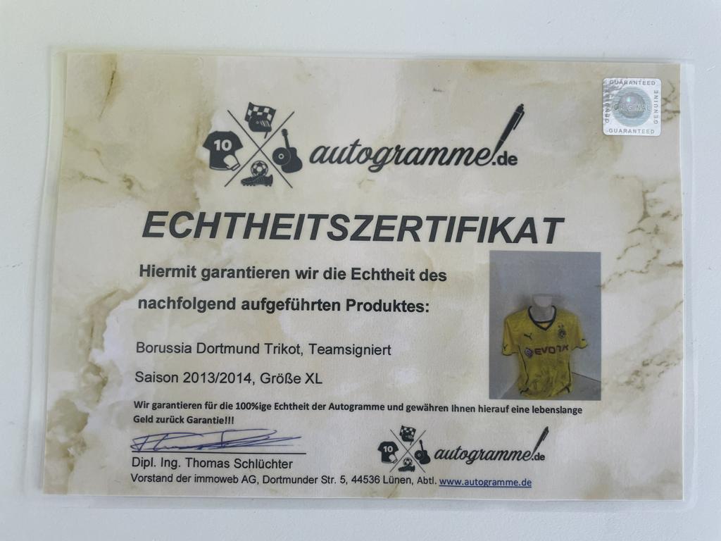 BVB Trikot 2013/2014 Teamsigniert Borussia Dortmund Autogramm Unterschrift Puma XL