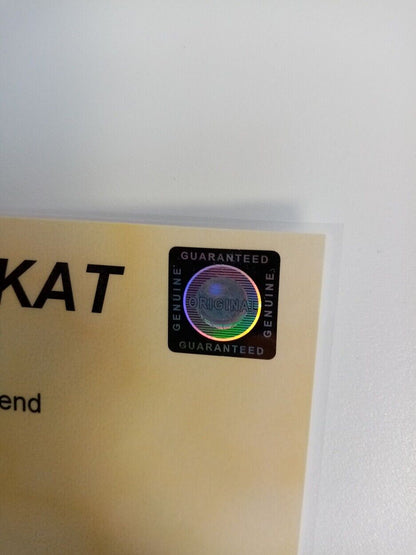 Germany jersey em 2004 team signed COA autograph football DFB adidas XL