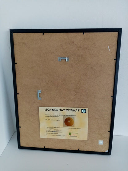 CD / Rohling G. G. Anderson signed + album as part of autograph music Schlager