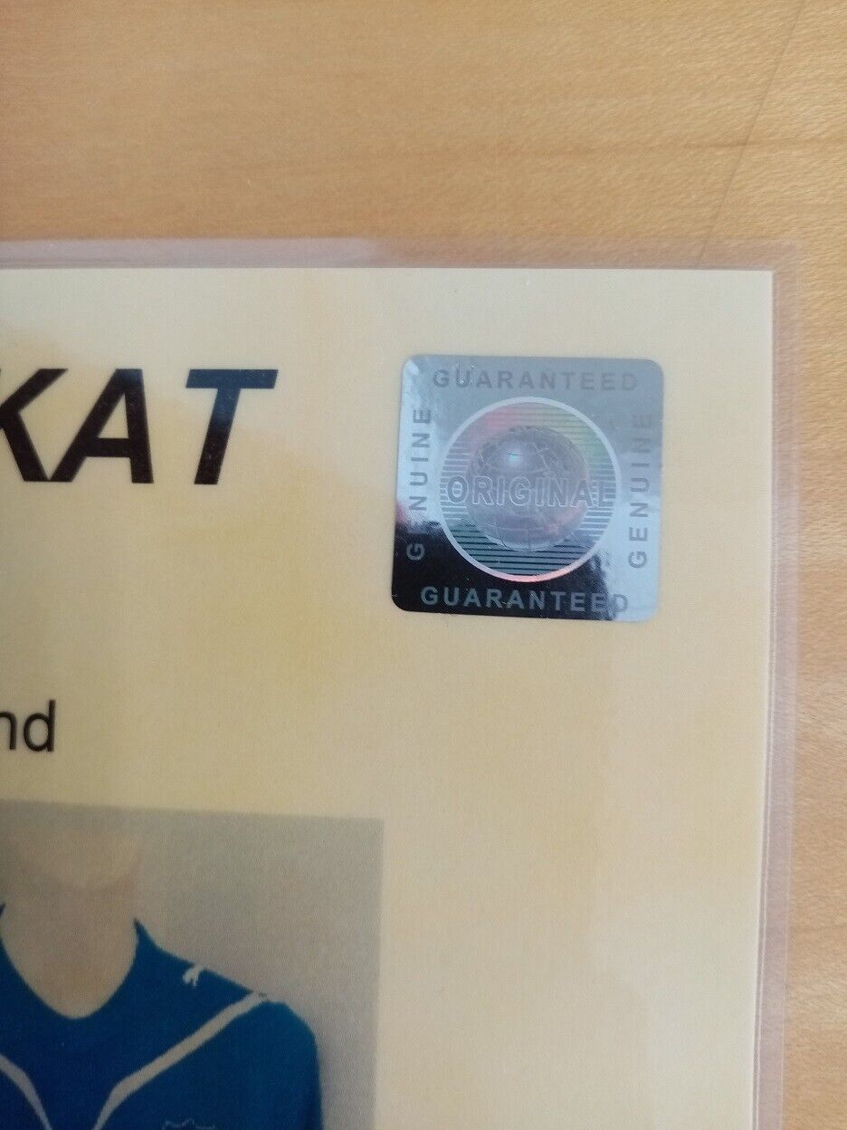 TSG 1899 Hoffenheim jersey 2010/2011 team signed autograph football puma coa XXL