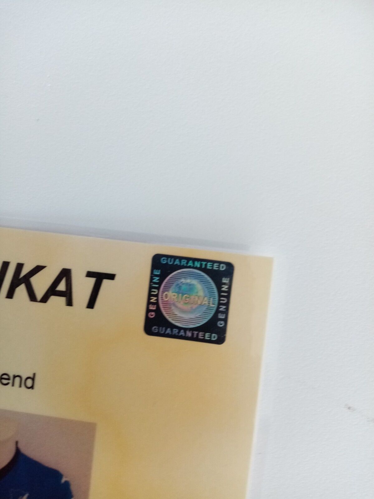 1899 Hoffenheim jersey 20/21 team signed autograph football bundesliga joma m