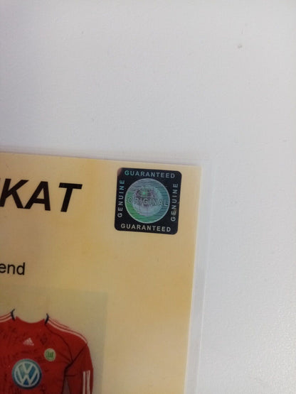 VfL Wolfsburg goalkeeper jersey 2013/2014 team signed adidas bundesliga wolves 152