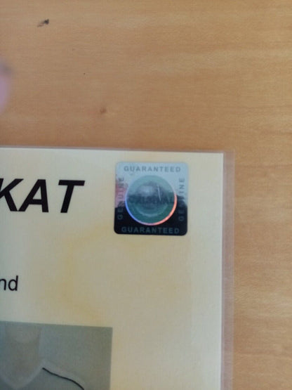 SV Sandhausen jersey 16/17 team signed soccer autograph Puma Signature 3xl