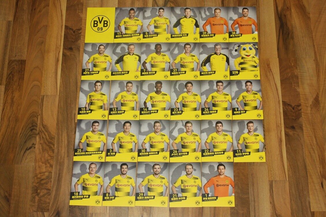 29 autograph cards Borussia Dortmund BVB 2017/18 17/18 Asia Tour China DFB Rar